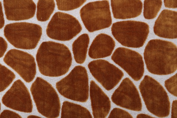 P Kaufmann Kalani Velvet Upholstery Fabric in Amber 