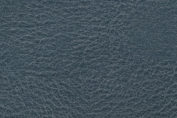 Richloom Fortress Hewlett High Performance Woven Upholstery Fabric in Pond