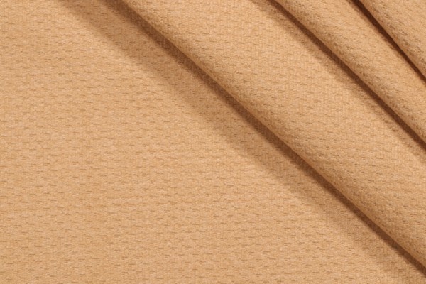 Richloom Wyland Woven Upholstery Fabric in Gold