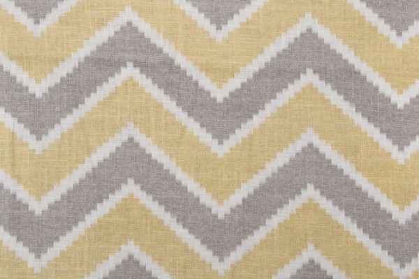 Echo Amani Printed Drapery Fabric in Chamois for Kravet CLOSEOUT 