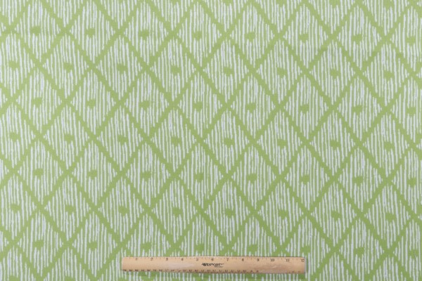 Lillian August Home Paulo Woven Solution Dyed Acrylic Outdoor Fabric in Kiwi for Terrasol 