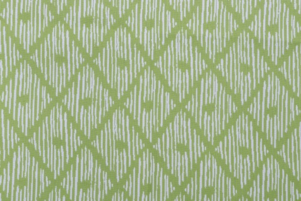 Lillian August Home Paulo Woven Solution Dyed Acrylic Outdoor Fabric in Kiwi for Terrasol 