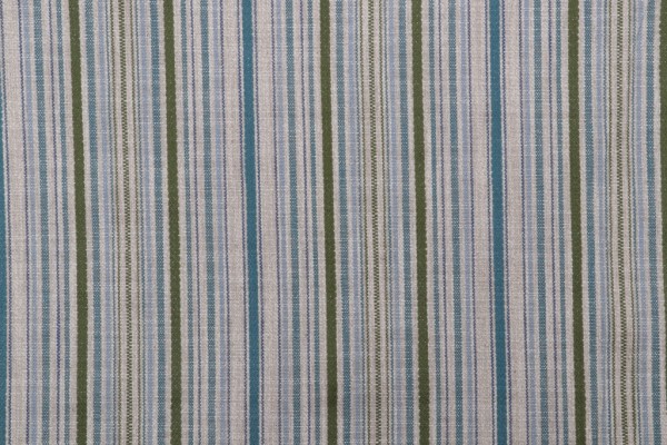 Eleri Woven Upholstery Fabric in Meadow