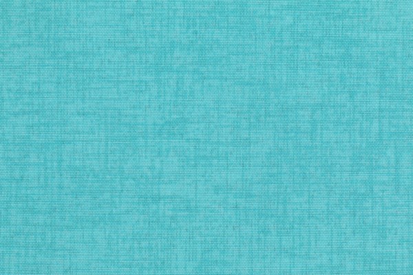Premier Prints Jackson Printed Polyester Outdoor Fabric in Ocean