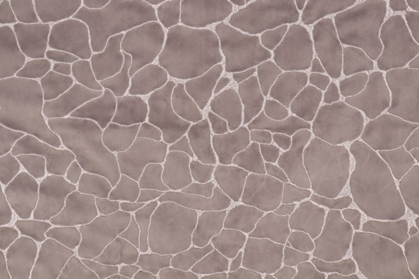 Covington Dare Velvet Decorator Fabric in 9-Graphite