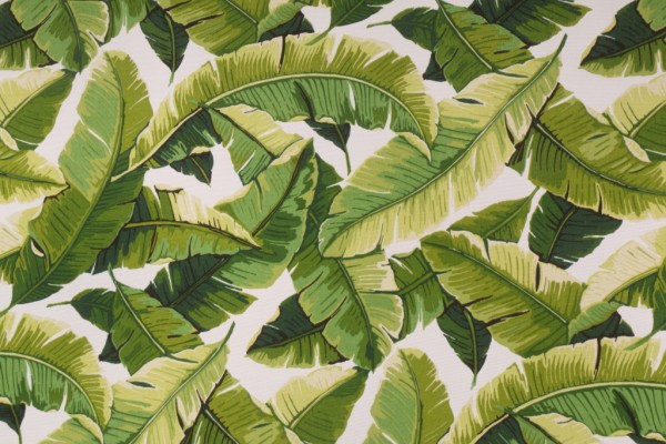 Richloom Balmoral Printed Polyester Outdoor Fabric in Palm