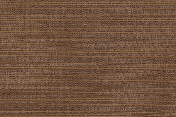 Sunbrella Dupione FF3861-0054 Solution Dyed Acrylic Outdoor Fabric in Sesame