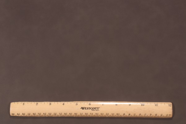 Rene Cazares Tannery Vinyl Upholstery Fabric in Walkway