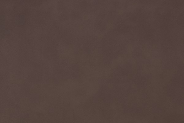 Rene Cazares Tannery Vinyl Upholstery Fabric in Walkway