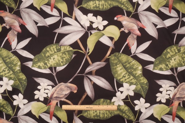 Covington Hello Polly Printed Cotton Twill Drapery Fabric in 99-Onyx