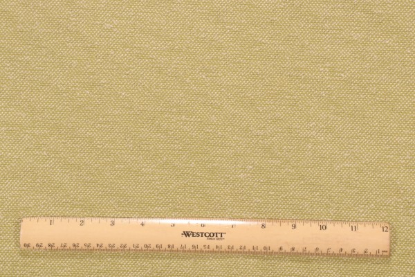 Pindler & Pindler Bloodfield Woven Solution Dyed Acrylic Outdoor Fabric in Kiwi