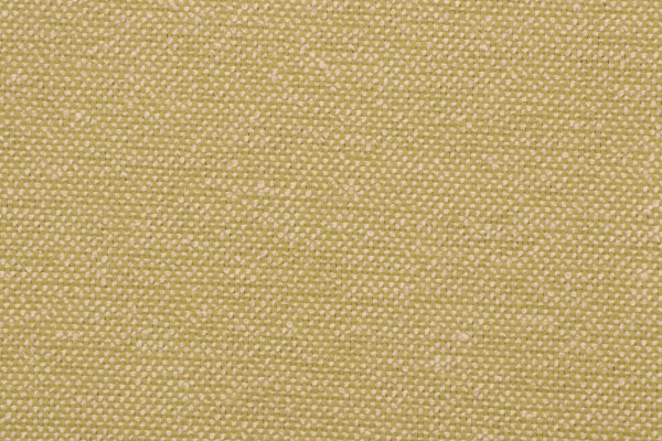 Pindler & Pindler Bloodfield Woven Solution Dyed Acrylic Outdoor Fabric in Kiwi