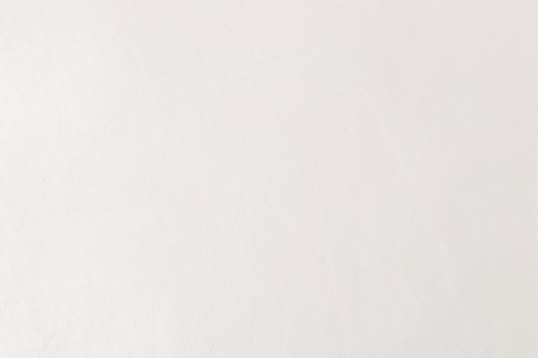 Vega Backed Vinyl Upholstery Fabric in Cream