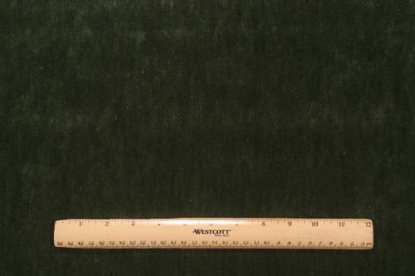 Click for 0.75 Yards PK Lifestyles Kashmiri Velvet Upholstery Fabric in Moss PK Lifestyles Kashmiri Velvet Upholstery Fabric in Moss