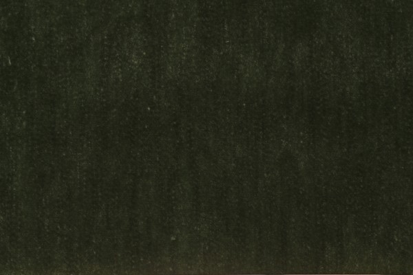 Click for 0.75 Yards PK Lifestyles Kashmiri Velvet Upholstery Fabric in Moss PK Lifestyles Kashmiri Velvet Upholstery Fabric in Moss