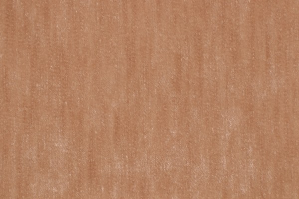 PK Lifestyles Kashmiri Velvet Upholstery Fabric in Barley