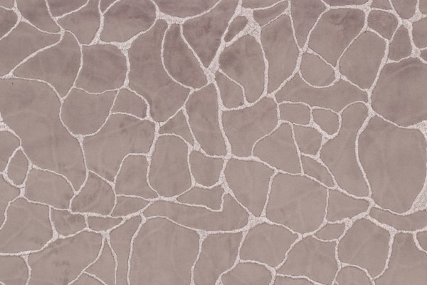 Covington Dare Velvet Decorator Fabric in 9-Graphite