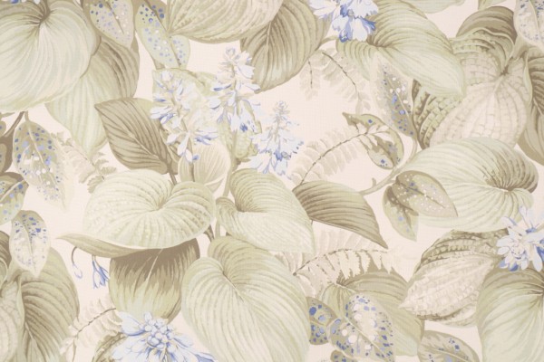 PK Lifestyles Hostas Meadow Printed Cotton Drapery Fabric in Summer