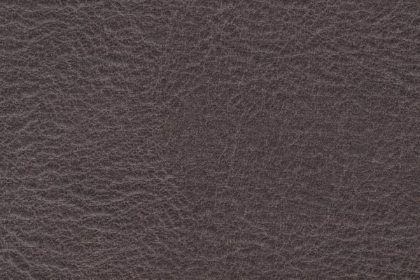 Richloom Fortress Hewlett High Performance Woven Upholstery Fabric in Charcoal