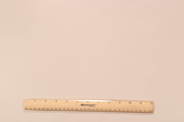 Rene Cazares Manifest Vinyl Upholstery Fabric in Cream