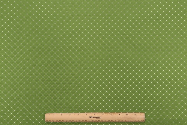 Brentwood A Dover Woven Decorator Fabric in Grass