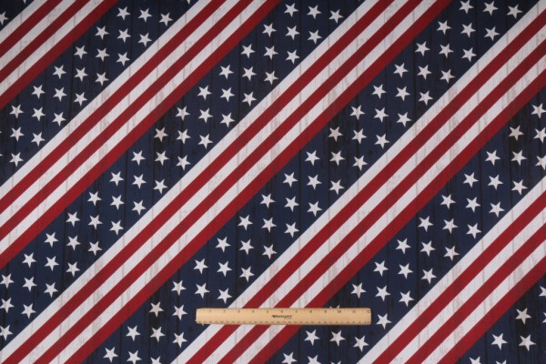 Richloom Major Printed Polyester Outdoor Fabric in Americana