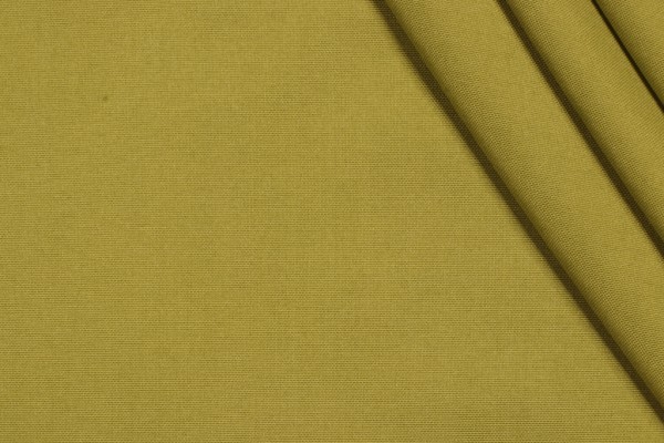 Richloom Veranda Woven Polyester Outdoor Fabric in Kiwi