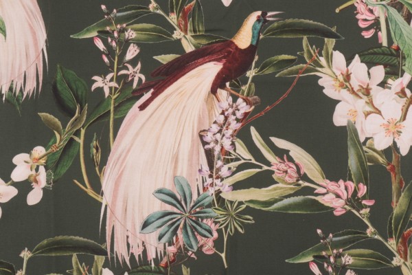 Stof France Paradisier Printed Cotton Drapery Fabric in Kaki
