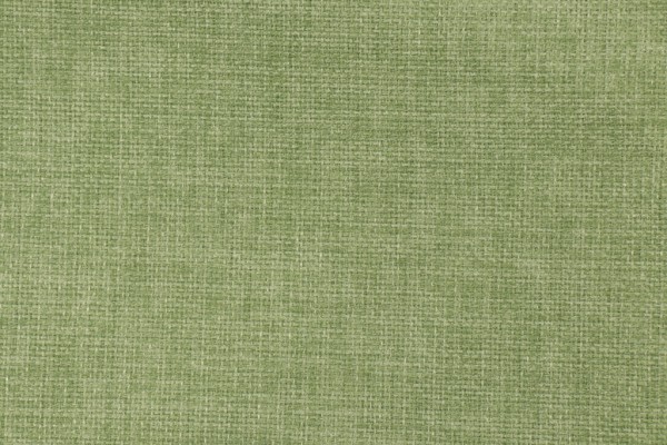 Richloom Rave Woven Polyester Outdoor Fabric in Palm