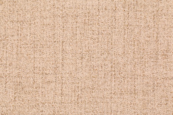 Richloom Fortress Tapscott High Performance Woven Upholstery Fabric in Doe