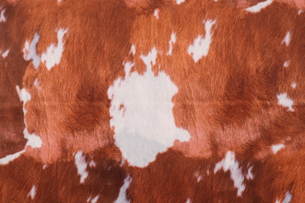 Stof Fabrics Normande Woven Velour Decorator Fabric in Roux