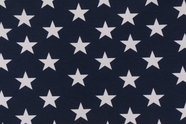 Richloom Macey Printed Polyester Outdoor Fabric in American
