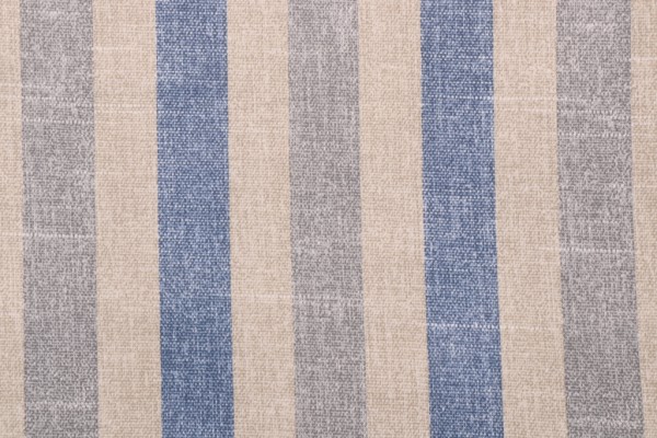 Richloom Solarium Tilford Printed Polyester Outdoor Fabric in Denim