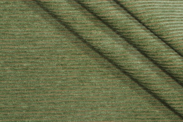 Crypton Minetta High Performance Woven Chenille Upholstery Fabric in Grass