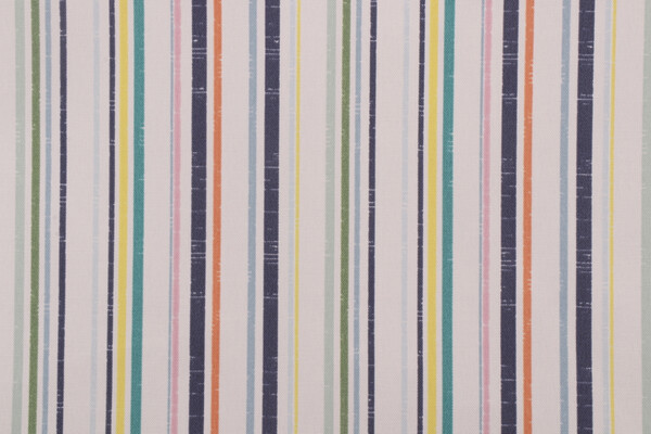 Richloom Stirrup Printed Polyester Outdoor Fabric in Multi