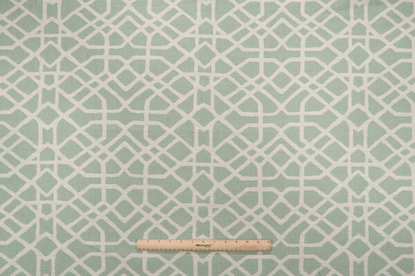 Home Accent Fabrics Roundabout Woven Decorator Fabric in Leaf