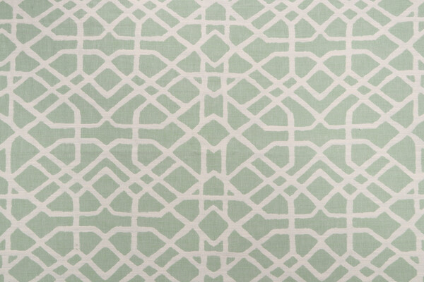 Home Accent Fabrics Roundabout Woven Decorator Fabric in Leaf