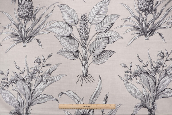 Click for 6.88 Yards Thibaut Tropical Toile F99805 Printed Drapery Fabric in Black on Taupe Thibaut Tropical Toile F99805 Printed Drapery Fabric in Black on Taupe