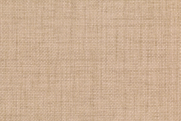 Richloom Rave Woven Polyester Outdoor Fabric in Sand