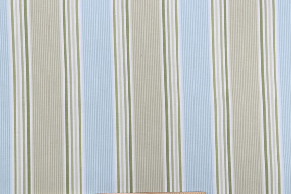 Waverly Pillar Printed Cotton Drapery Fabric in Mist