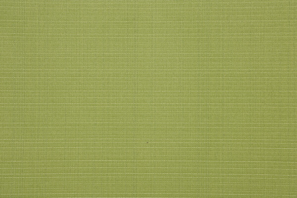 Forsyth Printed Slubbed Polyester Outdoor Fabric in Kiwi 