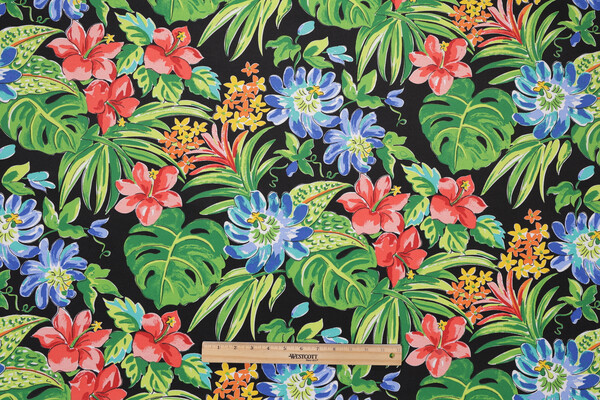 Belize Printed Polyester Outdoor Fabric in Black 