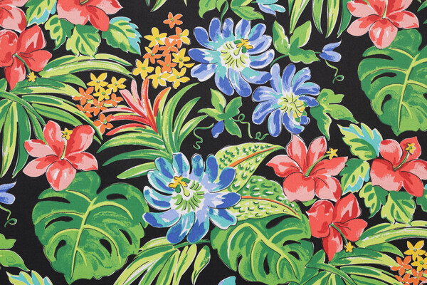 Belize Printed Polyester Outdoor Fabric in Black 