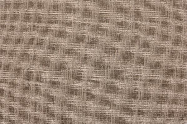 Richloom Monti Printed Polyester Outdoor Fabric in Chino 