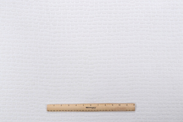 P Kaufmann Hera Performance Woven Chenille Upholstery Fabric in Cloud