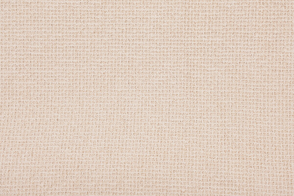 Scalamandre Dana Woven Upholstery Fabric in Cream