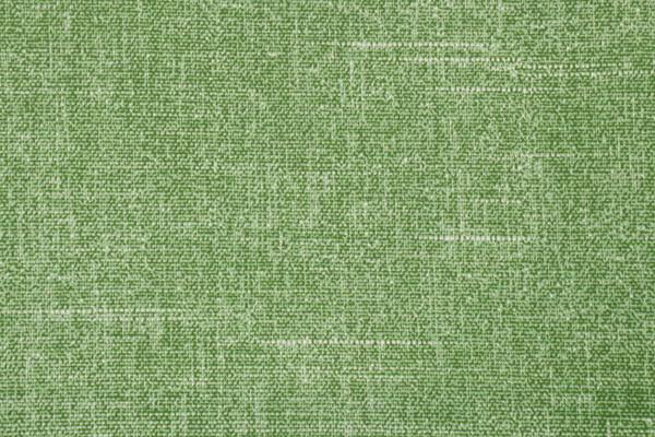 Richloom Solarium Tory Printed Polyester Outdoor Fabric in Palm