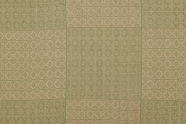 Scalamandre Woven Upholstery Fabric in Gold/Green