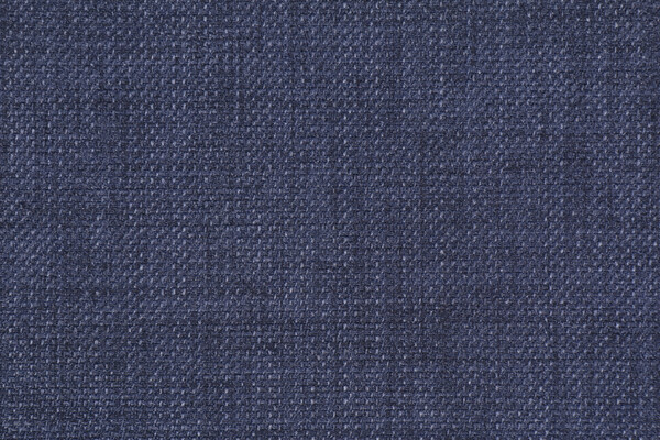 Richloom Rave Woven Polyester Outdoor Fabric in Indigo
