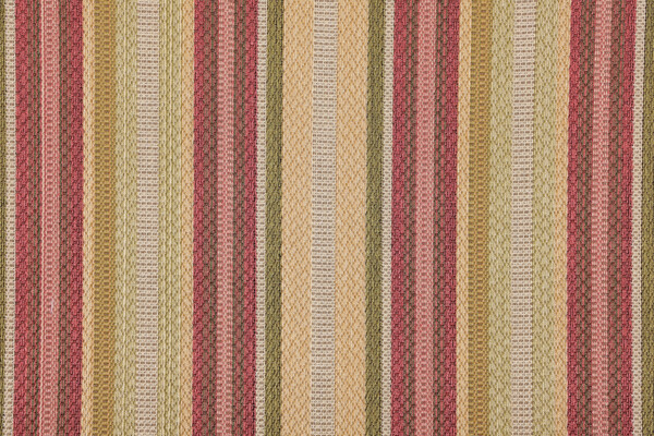 Scalamandre Giana Stripe Woven Upholstery Fabric in Artichoke